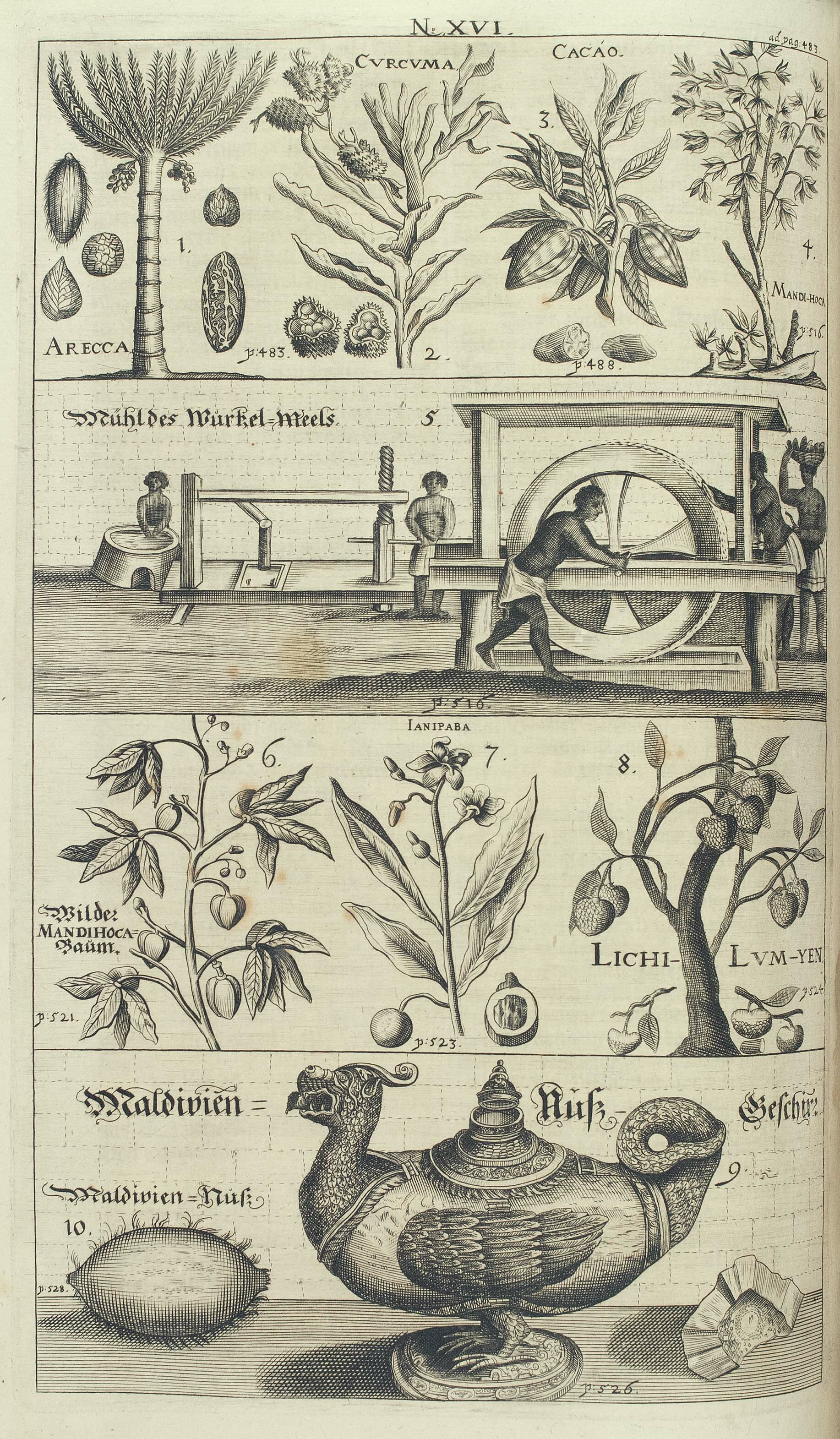 6. Panel XVI in, ERASMUS FRANCISCI, Ost=West=Indischer wie auch Sinesischer Lust=und Stats=Garten […], Nürnberg 1668.